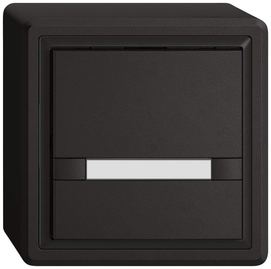 AP-Universaltaster EDIZIO.liv UNI SNAPFIX® 12…48V o.LED 1× 2-Tbed.Pap.sz