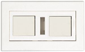 Dose Kat.6 FLF 2-fach leer weiss