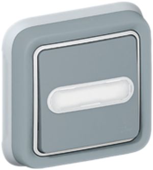 UP-Sonnerie-Leucht-Wipptaster PLEXO NO+NF grau