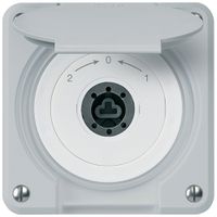 UP-Schlüsselschwenktaster robusto IP55 grau Deckel o.Zylinder Wechsler für Kombi