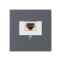Einsatz zu Anschlussdose kallysto 1×RJ45u anthrazit