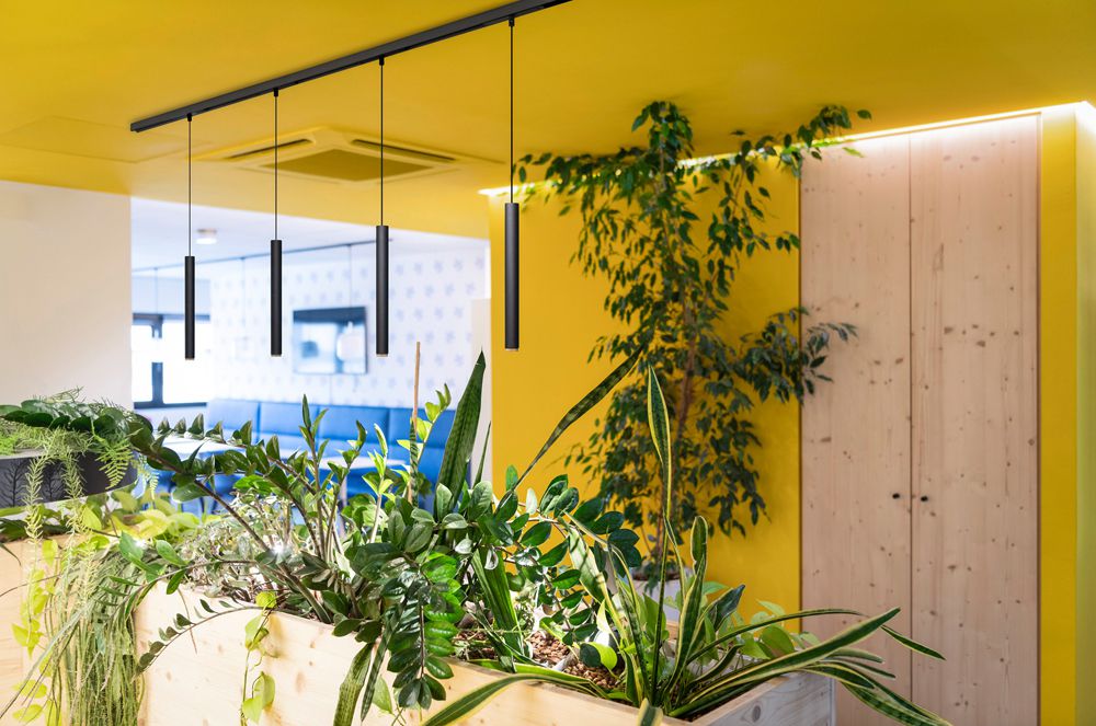 LED-Pendelleuchte SLV GRIP S 48V AD 9.8W 530lm 927 DALI Ø30mm schwarz