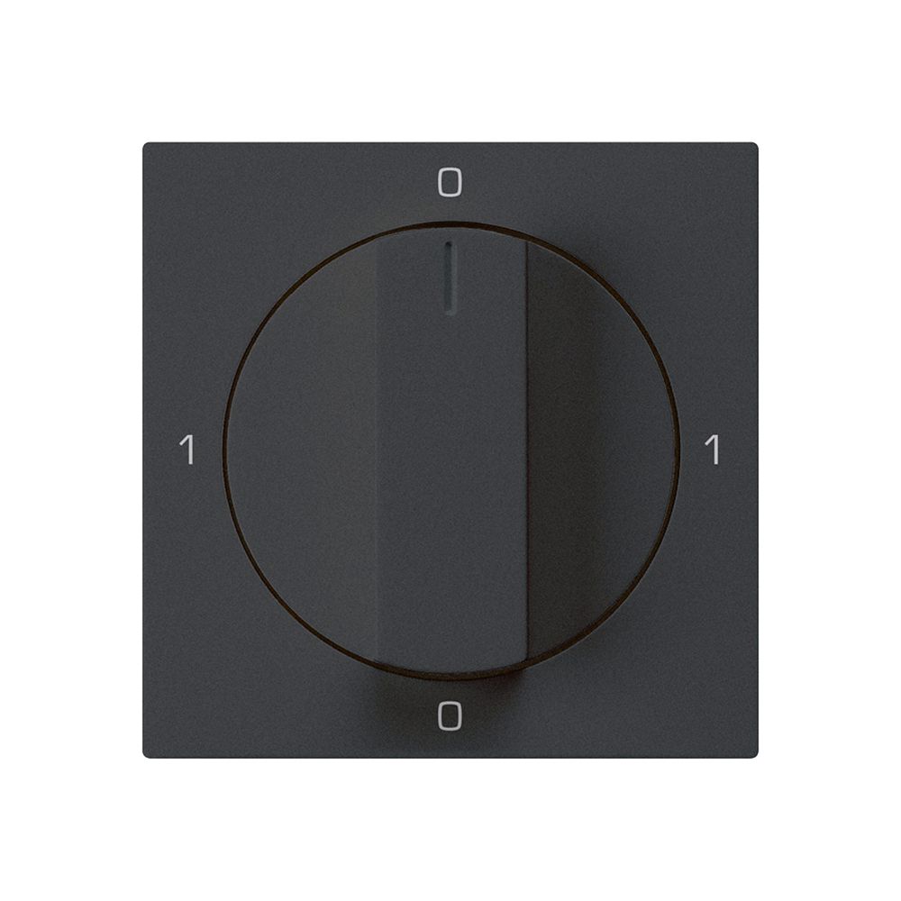 Einsatz zu Drehschalter kallysto 0/3L schwarz mit Drehgriff