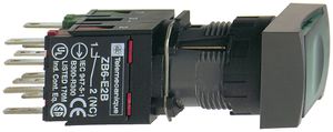 EB-Leuchttaster Schneider Electric 1S 12/24VUC grün