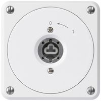 UP-Schlüsselschwenktaster robusto weiss o.Deckel o.Zylinder 1P für Kombination