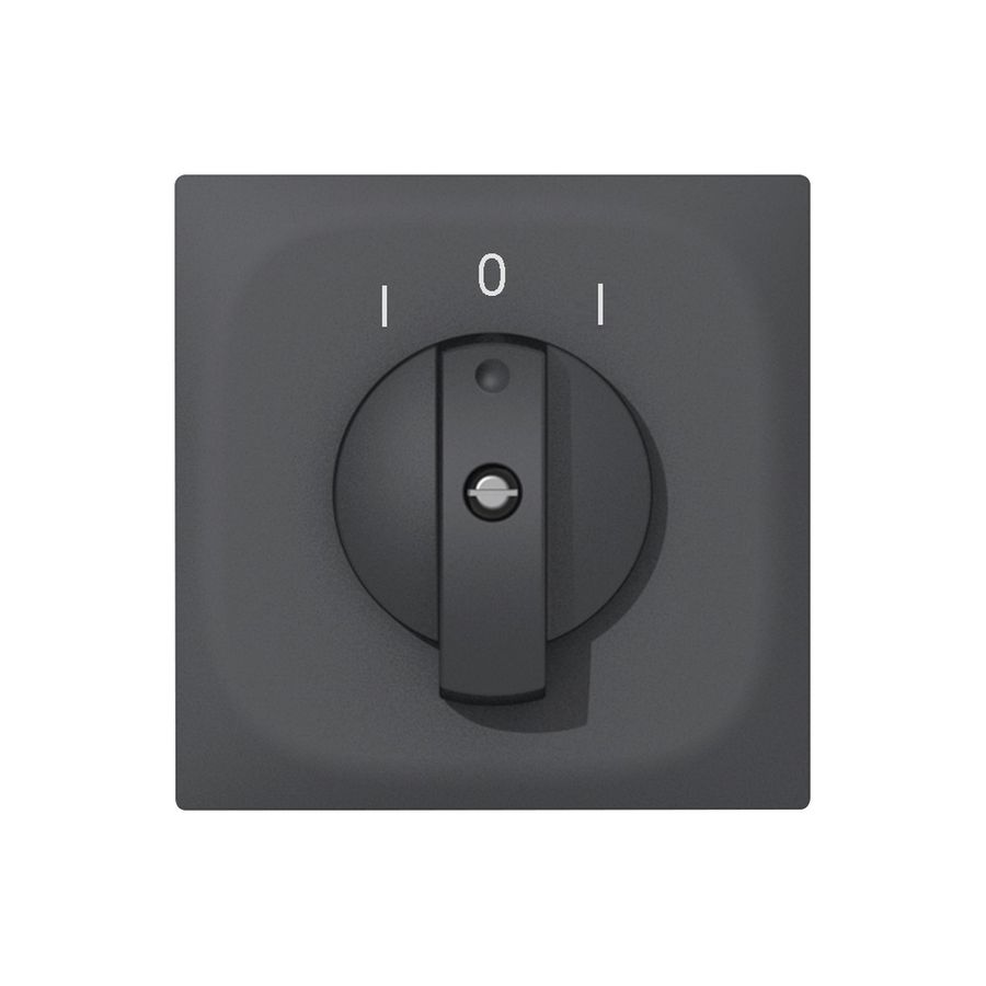 Contact pivotant ENC SIDUS E 2CT anthracite