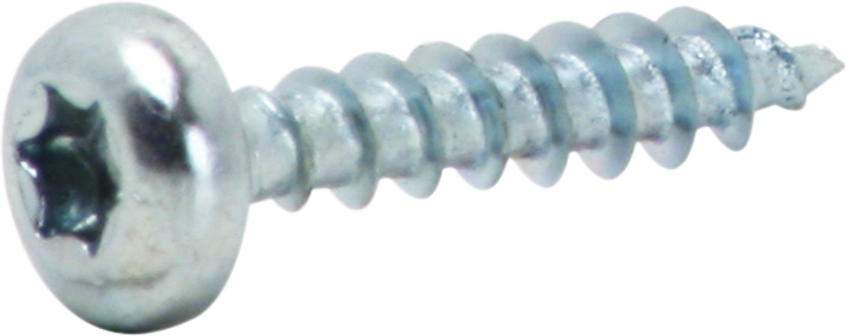 Rundkopf-Spanplattenschraube Torx 4×20mm