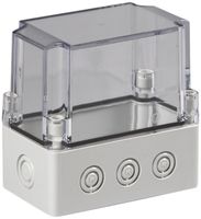 Apparategehäuse RW CUBO S 75×125×125 SPCM transparent