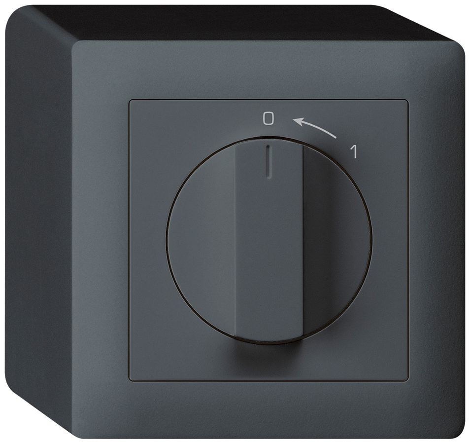 AP-Schwenktaster 0<-1/2L anthrazit kallysto mit Drehgriff