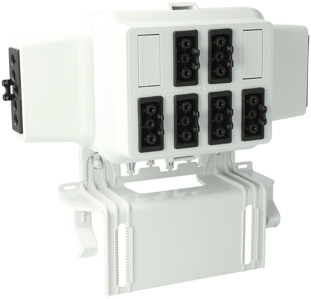 Scatola AGRO, in: 5P ne, out: ogni 2×3P ne L1/L2/L3, Wieland