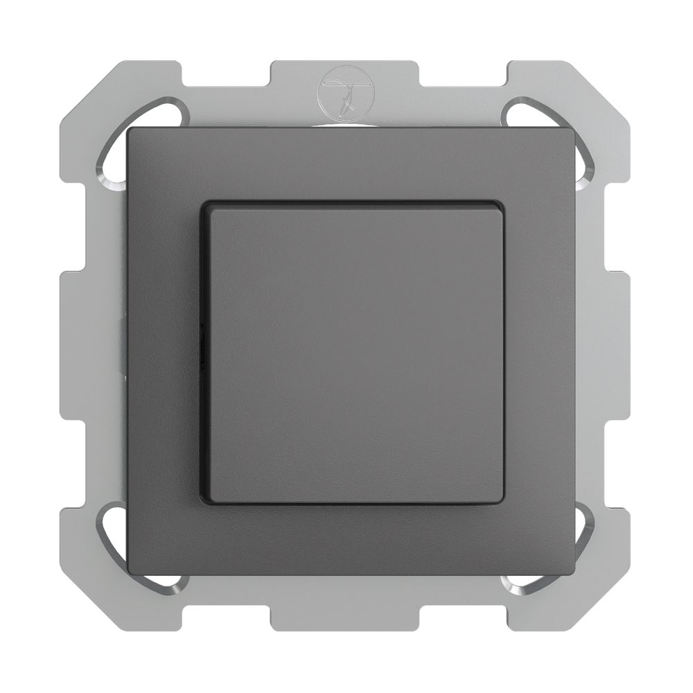 UP-Taster EDIZIOdue AR 2L dunkelgrau