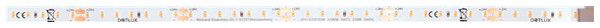 Bande LED DOTLUX, 48W, 8mm, 2700K, rotolo da 5m, c.cavo d.allacciamento 15cm