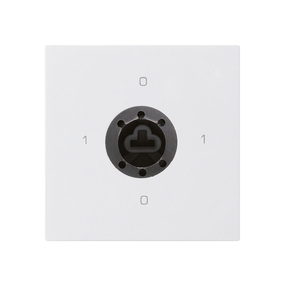 Intérieur interrupteur à clé kallysto 0/1L blanc pour serrure sûreté s.cylindre