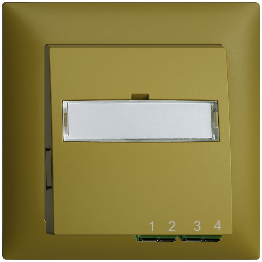 UP-Anschlussdose FTTH EDIZIOdue FH 2×LC APC Duplex FMI olive