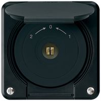 UP-Steckschlüsselschwenktaster robusto IP55 schwarz m.Deckel Wechsler Kombi 4kt