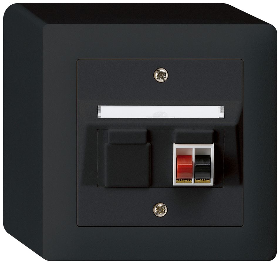 AP-Audiodose kallysto 1×schwarz Klemmanschluss für 1 LS