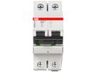 Disgiuntore SMISSLINE CLASSIC 2×50 B 10kA