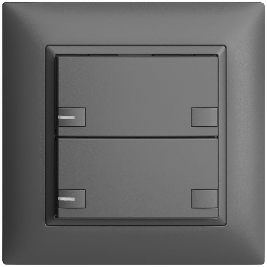 UP-Universaltaster 2×2T Steckklemme EDIZIOdue dunkelgrau mit LED