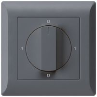 UP-Drehschalter kallysto.line 0/2L anthrazit mit Drehgriff