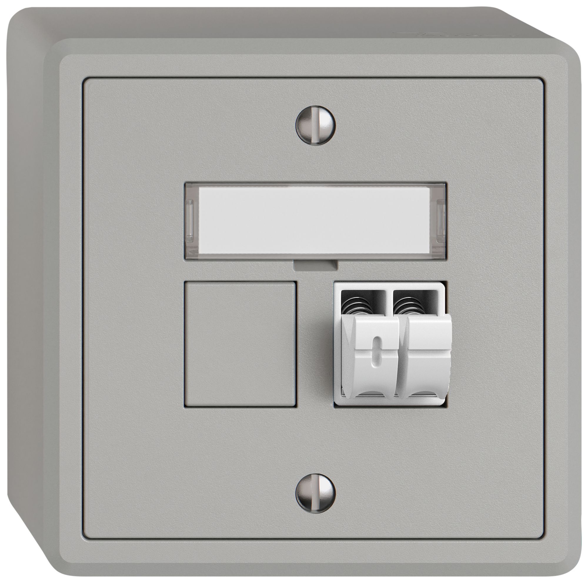 Presa audio AP EDIZIO.liv SNAPFIX® 1× grc