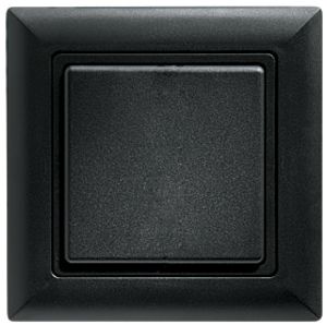 AP-RF-Taster Eltako 2/4-K.sz FT4CH