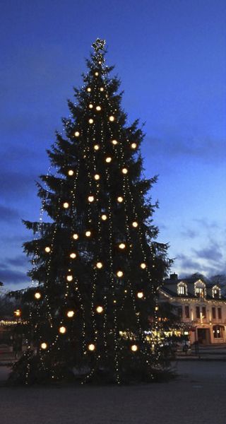 Lichterkette System 24 Extra, 5m, schwarz, 1W, 49 LED, warmweiss