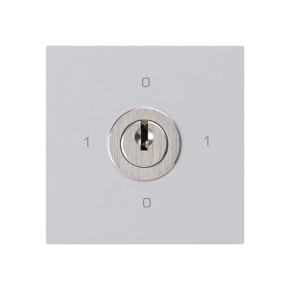 Einsatz zu Schlüsselschalter kallysto 0/2L hellgrau mit Schloss Kaba 8