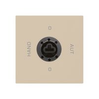 Einsatz zu Schlüsselschalter 0-Hand-0-Aut. beige kallysto 2/1P für Schloss