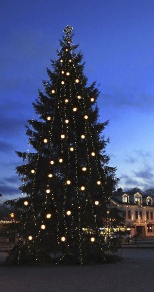 Lichterkette System 24 Extra, 10m, schwarz, 2.1W, 98 LED, warmweiss