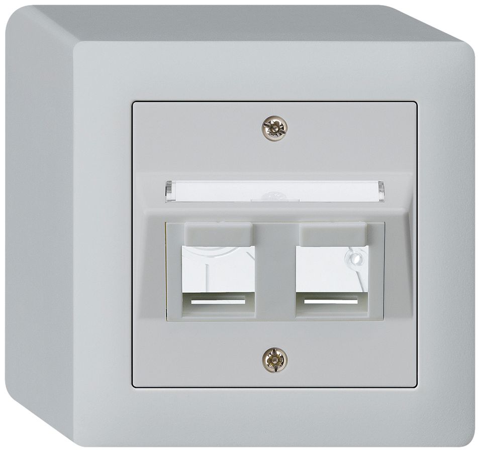 Kit de montage AP kallysto 2×Keystone gris clair