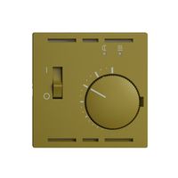 Kit frontal EDIZIOdue olive 60×60mm pour thermost.d'amb.