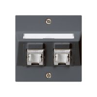 UP-Montage-Set kallysto A Kat.6 2RJ45/s anthrazit