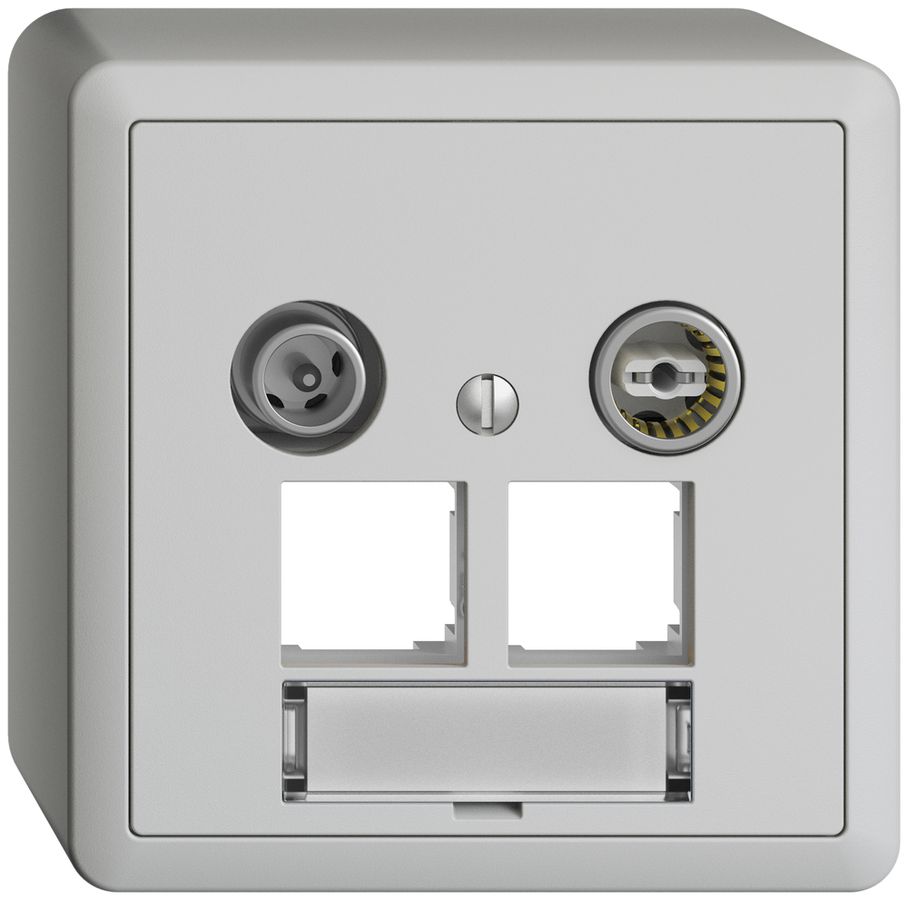 AP-Multimediadose EDIZIOdue FX.54 EASYNET 11dB, f.2×RJ45 S-One, hellgrau