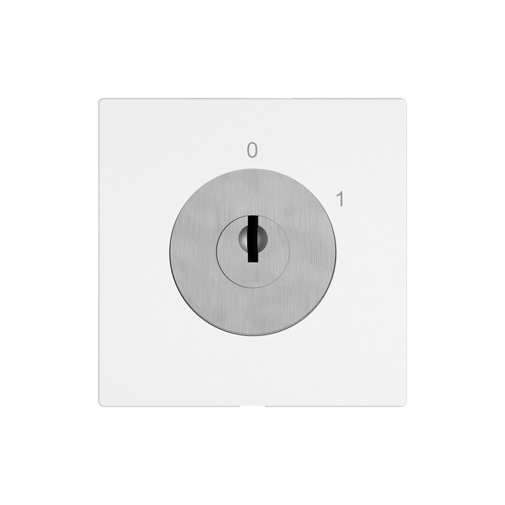 Interrupteur à clé EDIZIO.liv a.KABA 1262KA/631984 a.cont.sép.1P 0-1 p=66mm bc