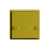 Taster ZEP 1K/1T Motor Hauptstelle EDIZIOdue olive