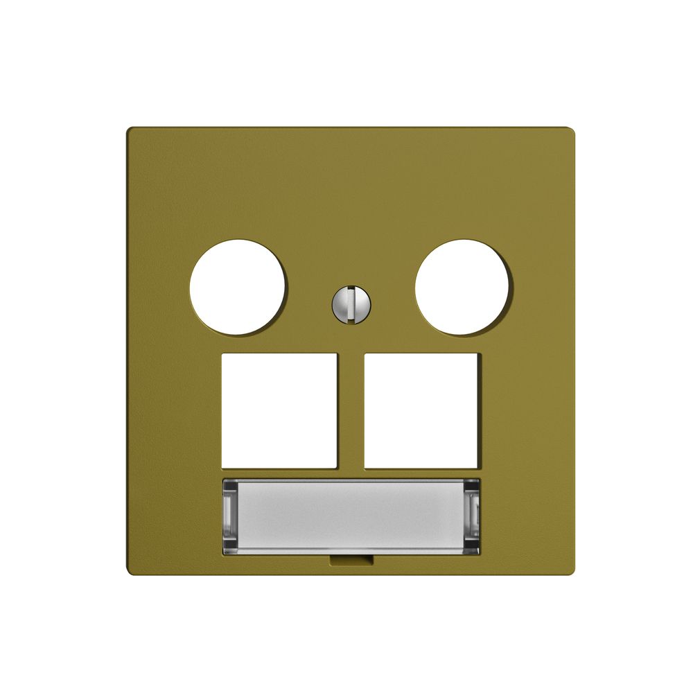 Kit de recouvrement Edue F, p.prise multimédia EASYNET, p.2×RJ45 S-One, olive