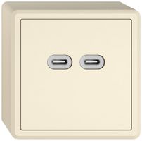 Prise de charge USB AP EDIZIO.liv SNAPFIX® 230VAC 18W 2×USB C cr