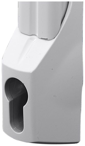 Poignée Rittal DK 7705.120 serrure à crémone (fermeture trois points)