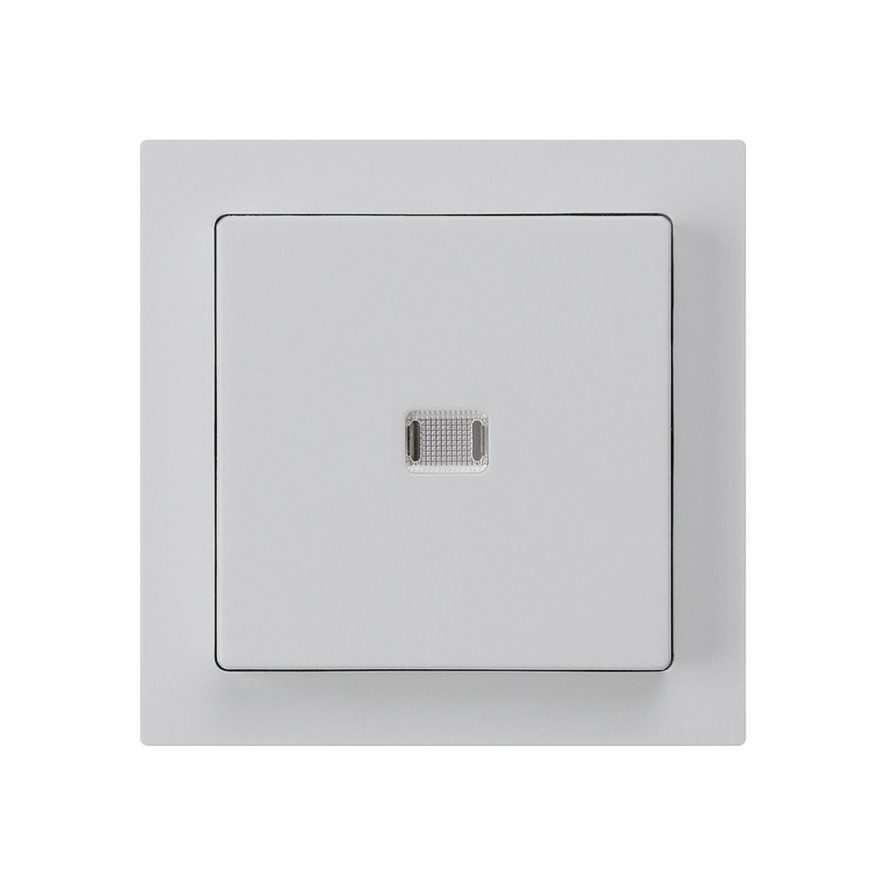 UP-Leuchttaster kallysto ARK 2L hellgrau