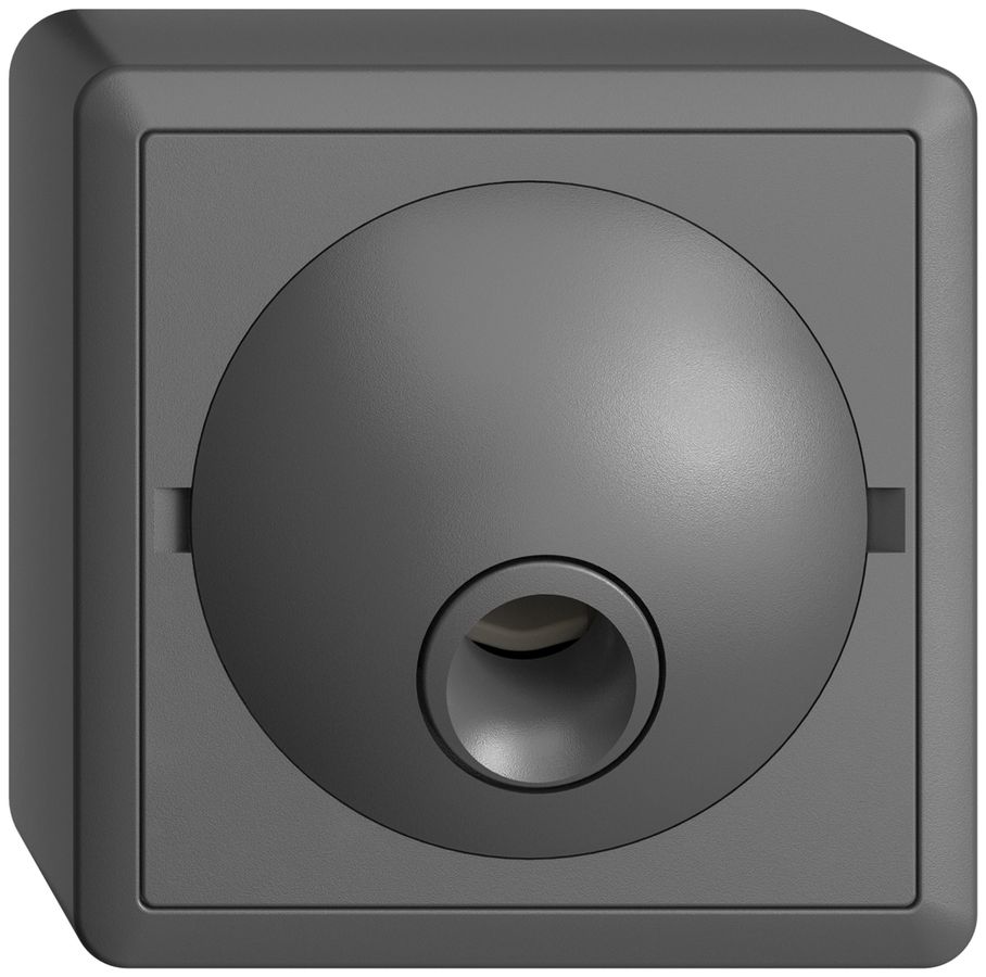 AP-Anschlussdose EDIZIOdue 8L für Rufleuchte, dunkelgrau