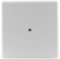 Abdeckplatte Ammer Gr.I weiss