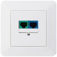 Boîte ENC DSL kallysto.trend 2×RJ45 blanc