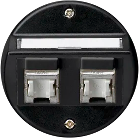 UP-Einsatz basico A Kat.6 2×RJ45/s Schrägauslass schwarz