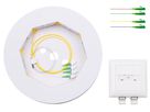 FTTH OTO inkl. Kabel 20m Inhousekabel, 4Fs, 4xLC/APC, LSFH. 4x SM
