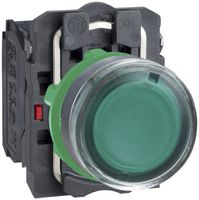EB-Leuchttaster Schneider Electric 24V 1S-1Ö grün