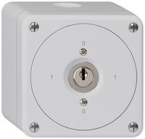 Interruttore a chiave AP robusto senza copertura 0/3P grigio