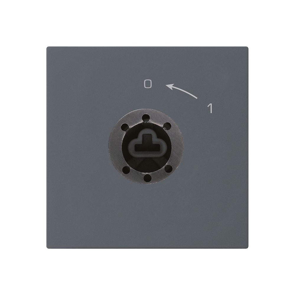 Contact pivotant 0<-1/2L anthracite kallysto pour serrure sans cylindre