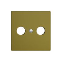 Placca frontale EDIZIOdue olive per R/TV