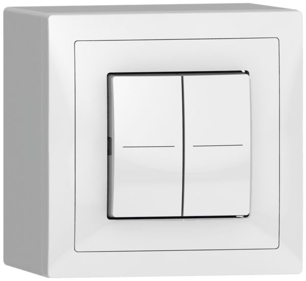 AP-Tastsensor ABB Sidus KNX Basic 2/4, weiss glänzend