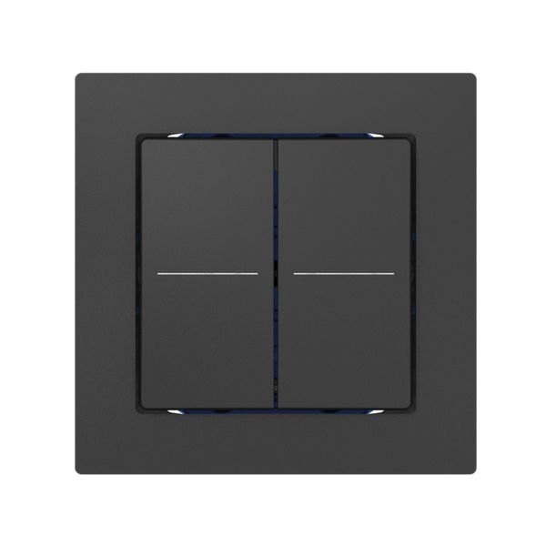 Tastsensor ABB Sidus KNX Basic Typ-E, 2/4, anthrazit